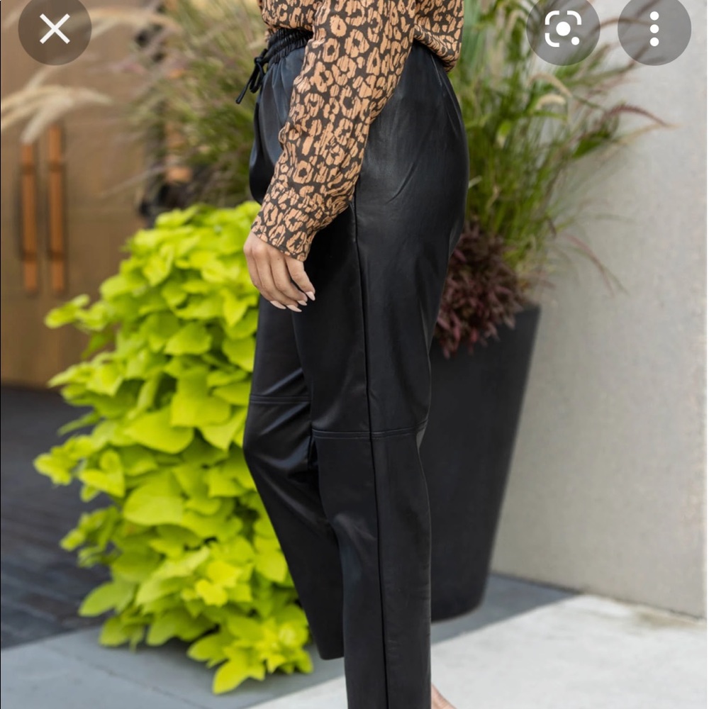 Vegan Leather Pants - Picture 3 of 7